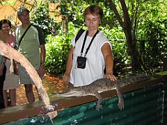 231 Wildlife Habitat Port Douglas